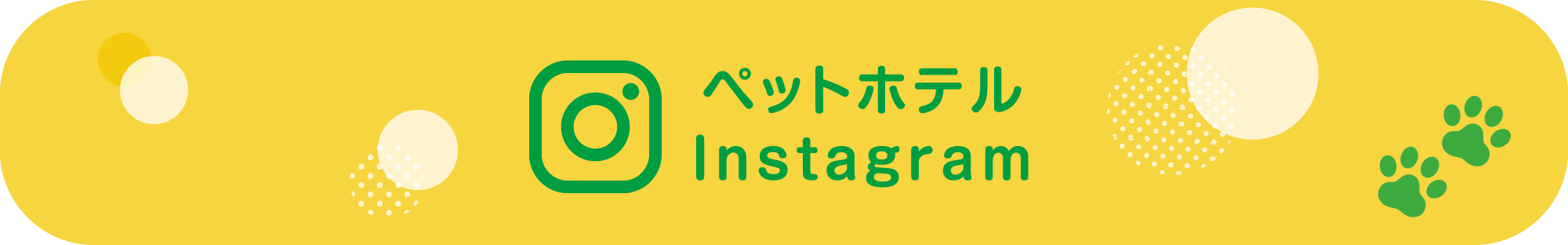 ペットホテル Instagram