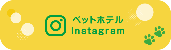 ペットホテル Instagram